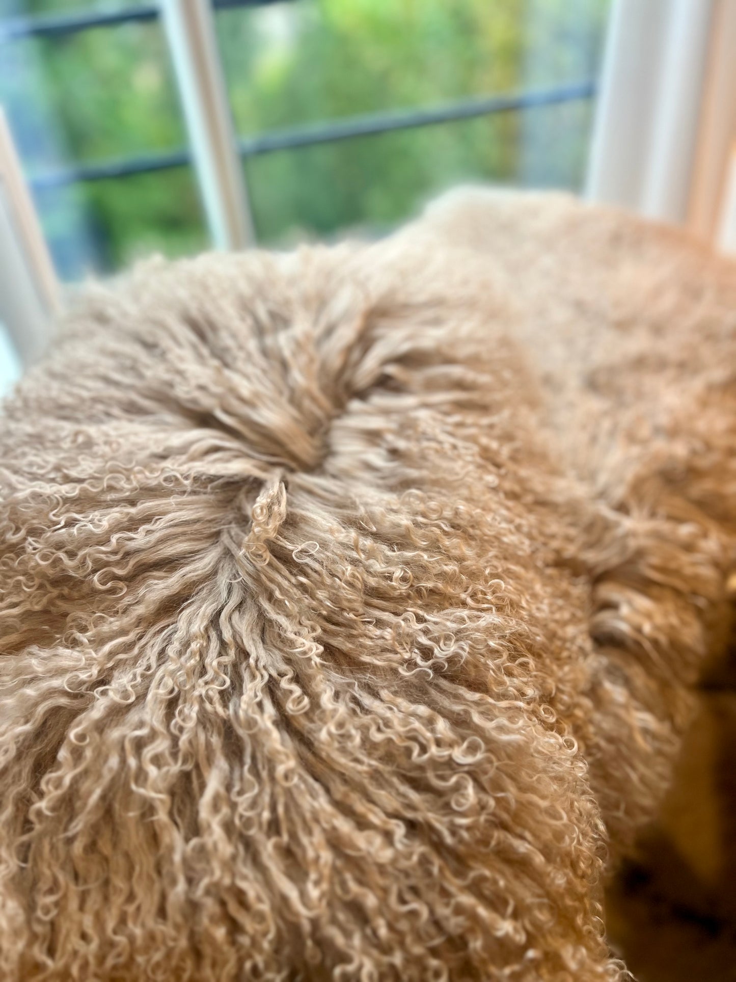 COUSSIN EN MOUTON D'ISLANDE - BEIGE TAUPE