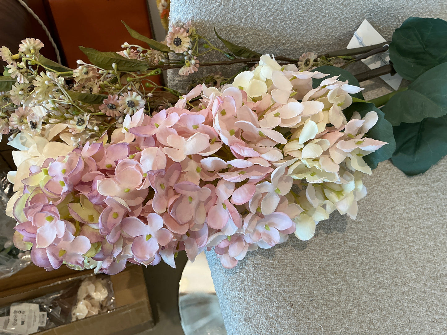 Hydrangea rose