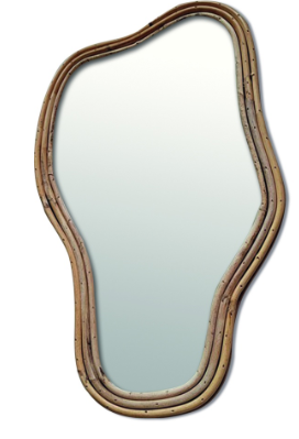 MIROIR ORGANIQUE