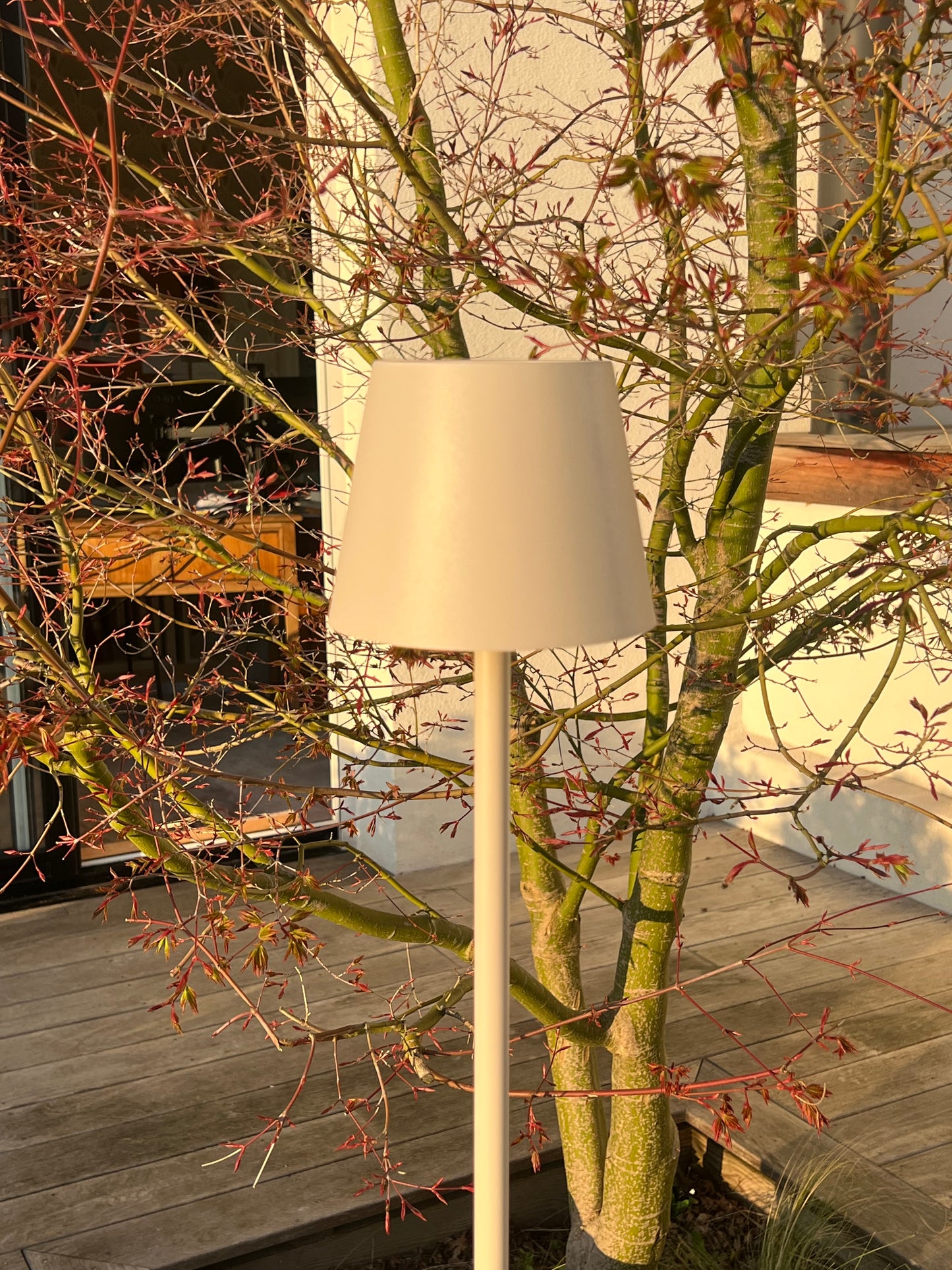 LAMPE SUR PIED RECHARGEABLE BEIGE